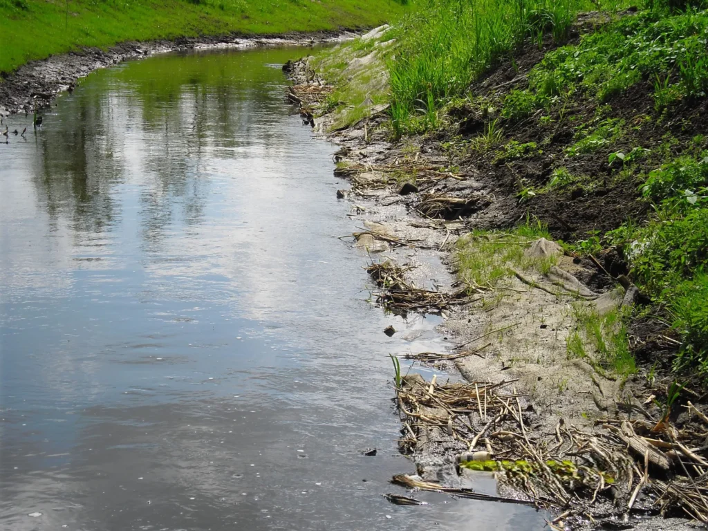 Widok na koryto rzeki Słupianki. Widoczna gęsta roślinność nadbrzeżna.