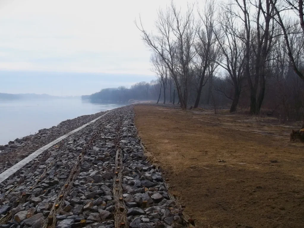 Widok wzdłuż nowo wybudowanej opaski brzegowej nad Wisłą w Warszawie. Konstrukcja składa się z narzutu kamiennego wzmocnionego pionowymi płotkami z faszyny. Po prawej stronie wyrównany teren piaszczysty i pas drzew.